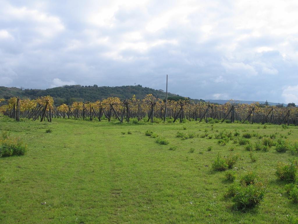 Il Canto Di Kokopelli Country Houses Brattiro Εξωτερικό φωτογραφία